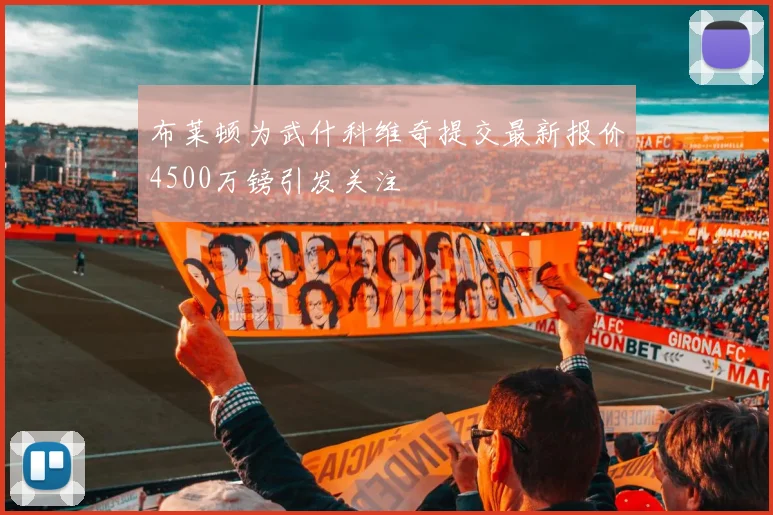 布莱顿为武什科维奇提交最新报价4500万镑引发关注